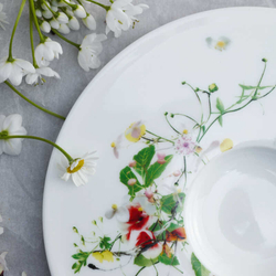 Чайная пара 250мл Rosenthal Дикие цветы