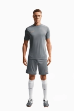 Шорты Nike Dri-FIT Academy 25 - серый