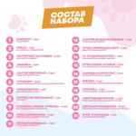 Подарочный канцелярский школьный набор 47 предметов Котики, MC-Basir, Большой бокс с канцелярией для девочек 2025, милый подарок на Новый год и День рождения