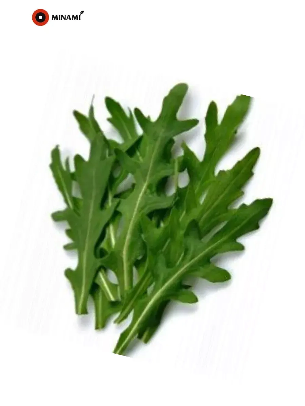Руккола (индау) Оливетта 11гр. двурядник