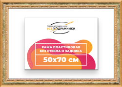 Рама 50x70 для картин и фотографий