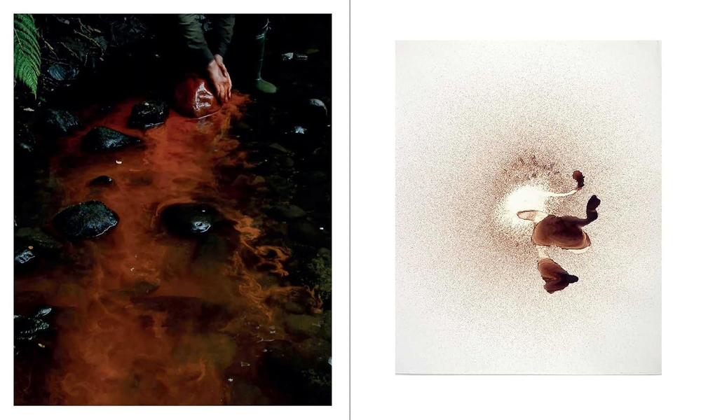 Andy Goldsworthy: Fifty Years