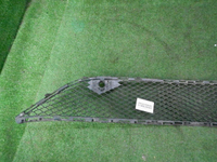 DSCN1567.JPG