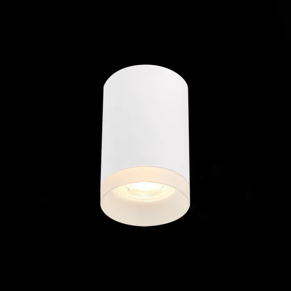 Точечный светильник St100 ST100.502.01 ST Luce
