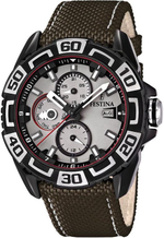 Мужские наручные часы Festina F16584/1