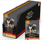 Pro Plan (Про План) влажный корм для собак мелких пород с говядиной