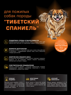Корм сухой для пожилых собак породы Тибетский спаниель старше 7 лет, с индейкой, 12 кг, QUATTRO