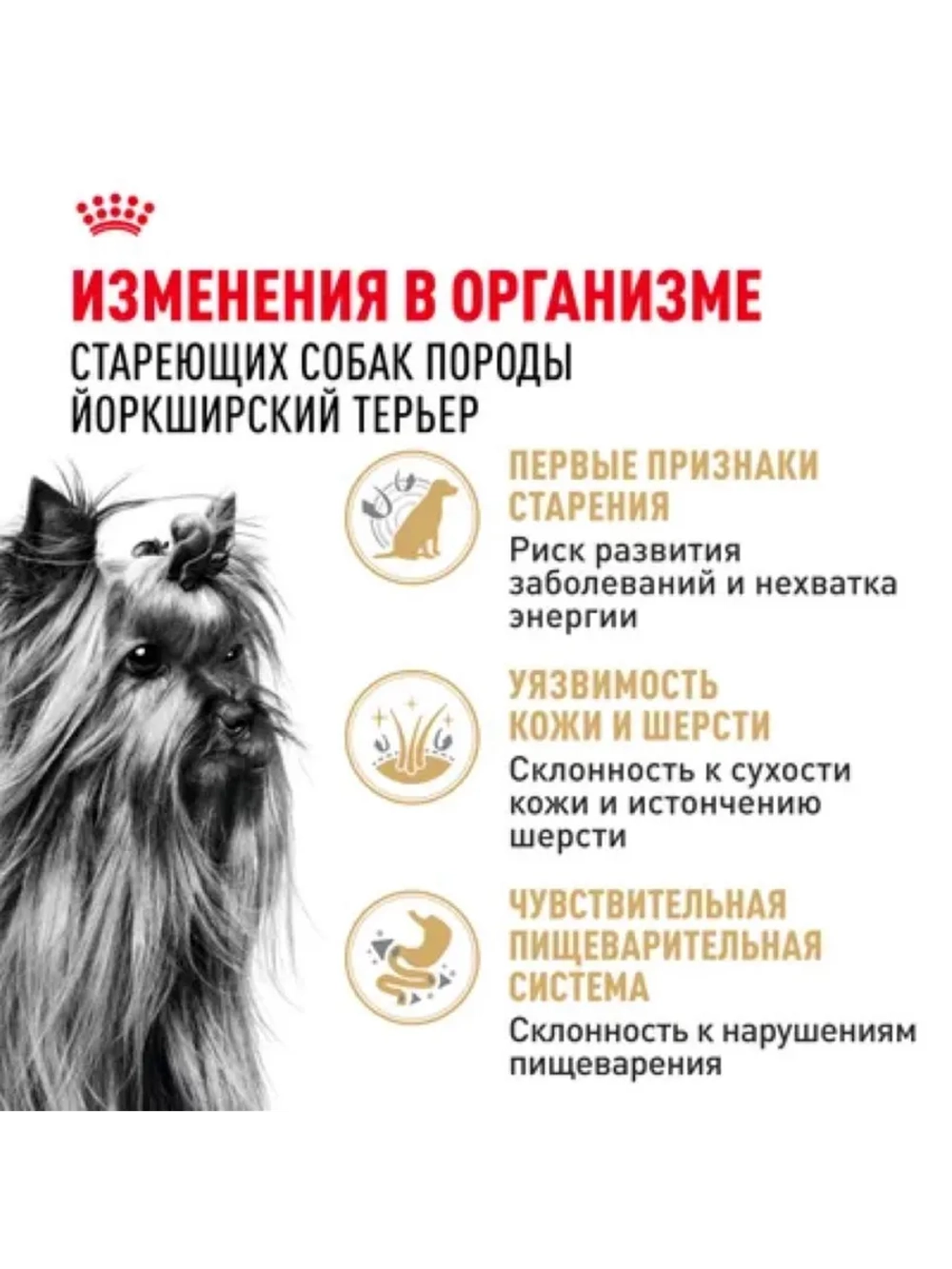Yorkshire Terrier Ageing 8+ Корм для собак 1,5кг