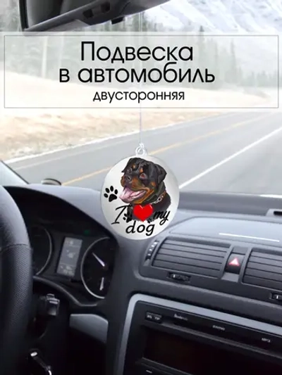 Подвеска в машину - Ротвейлер