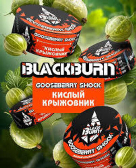 BlackBurn Gooseberry Shock (Кислый крыжовник) 25г
