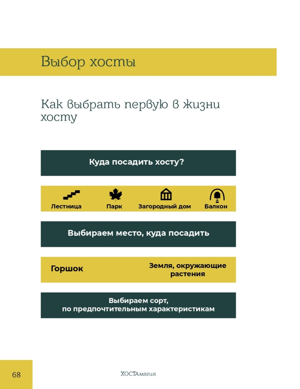 ХОСТАмагия. Катерина Резник