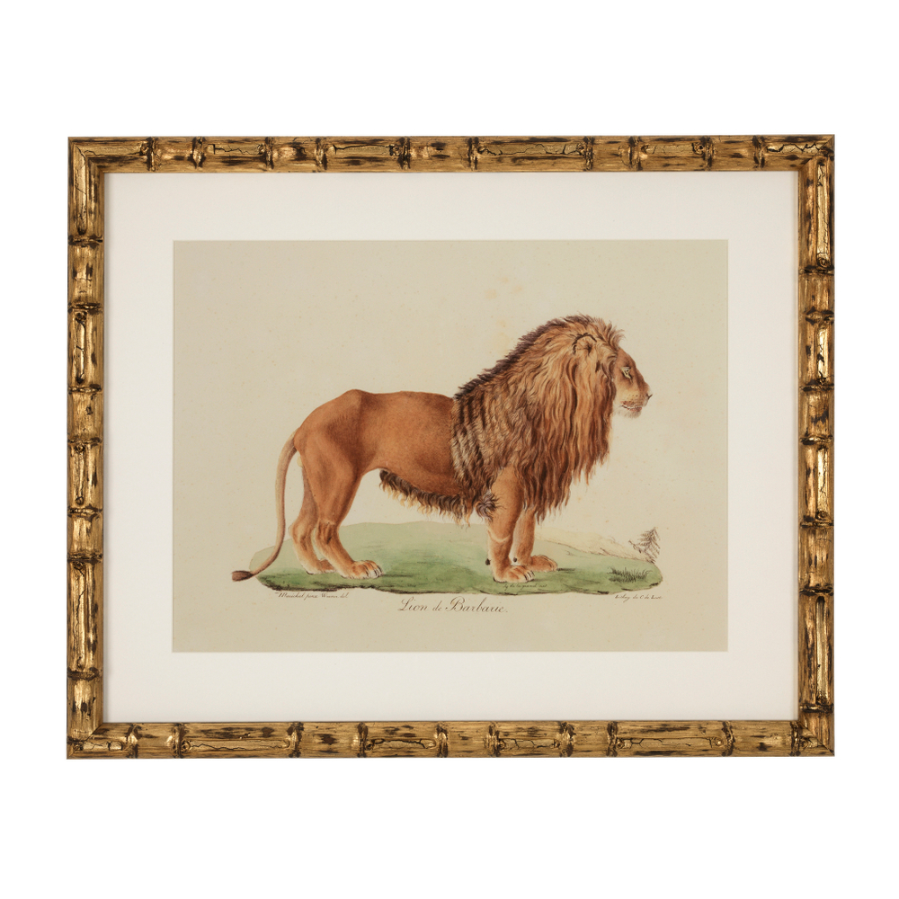 Постер Prints Lion, Tigre, Jaguar set of 6 арт.111745
