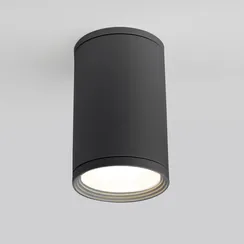 Потолочный светильник уличный Light 35128/H серый Elektrostandard