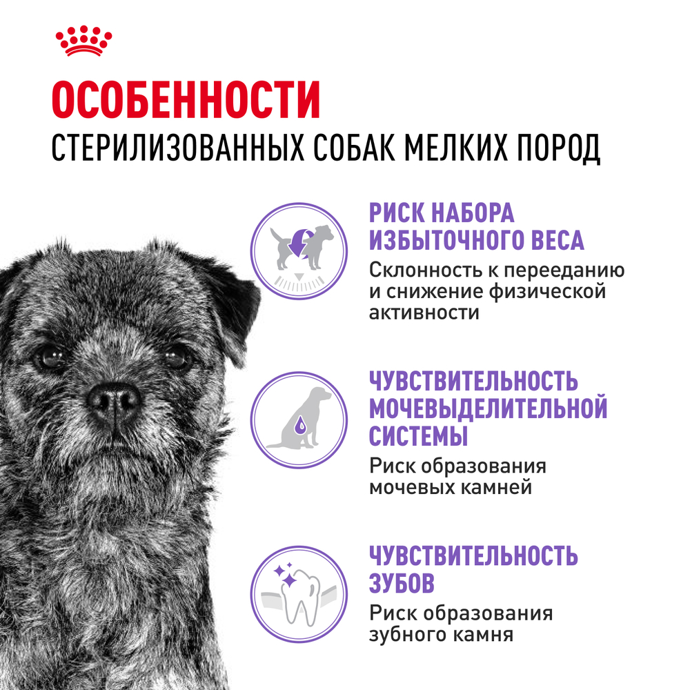 Royal Canin Mini Sterilised Корм сухой для взрослых стерилизованных собак мелких размеров, склонных к набору веса - 3 кг