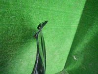 DSCN0385.JPG