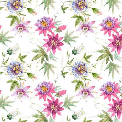 passionflower