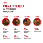 Royal Canin Indoor Long Hair Индор Лонг Хэйр Корм сухой для длинношерстных кошек в возрасте от 1 года до 7 лет живущих в помещении 400г