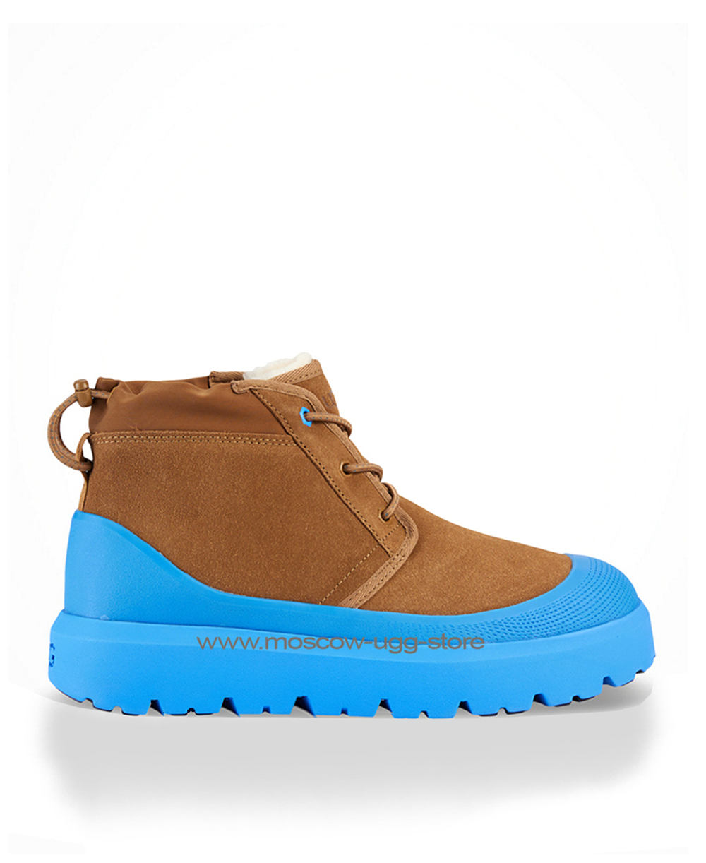NEUMEL WEATHER HYBRID Chestnut Navy
