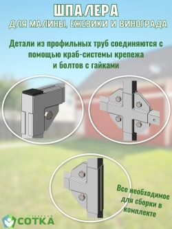 Шпалера для малины, ежевики и винограда
