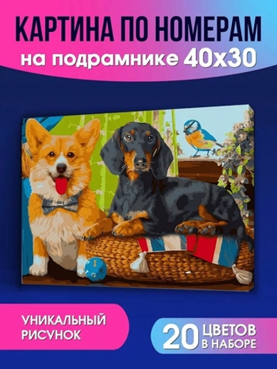 Картина по номерам 30х40см. "Собачки разных пород" 20цв. ( Арт. ХК-6604)