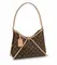 Сумка Louis Vuitton Carry All MM коричневый