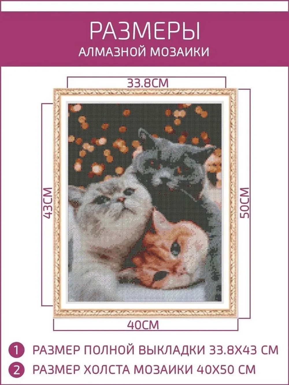 Алмазная мозаика коты на подрамнике 40х50