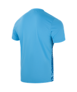 Футболка вратарская DIVISION PerFormDRY SPLASH GK Jersey, голубой