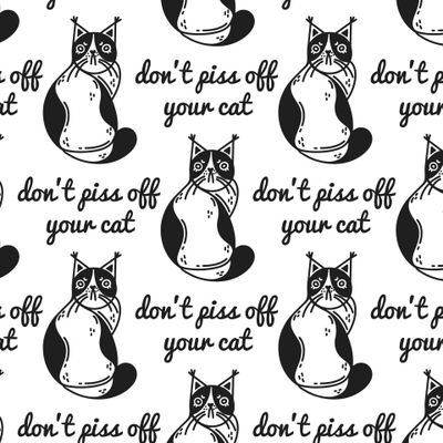 Злой кот, grumpy cat. Суровая кошка, недовольный котенок