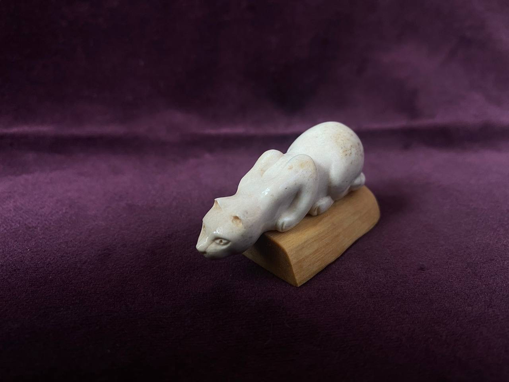 Кот