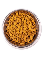 Monge Sterilised Cat (Монж Стерил Кэт) корм сухой для кошек с курицей 10 кг.