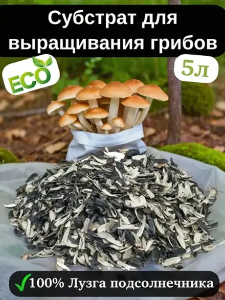 Субстрат для выращивания грибов (лузга подсолнечника) 5л