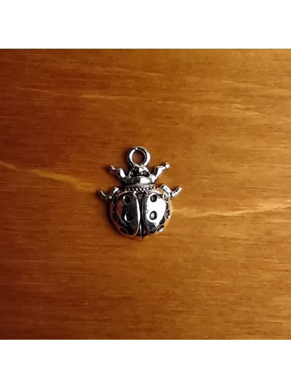 Подвеска на шею божья коровка, 5 шт