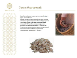Amouage Enclave