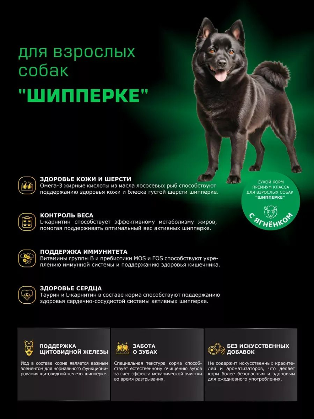 Корм сухой для взрослых собак породы Шипперке, с ягненком, 800 гр, QUATTRO