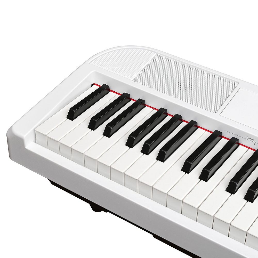 Emily Piano D-22