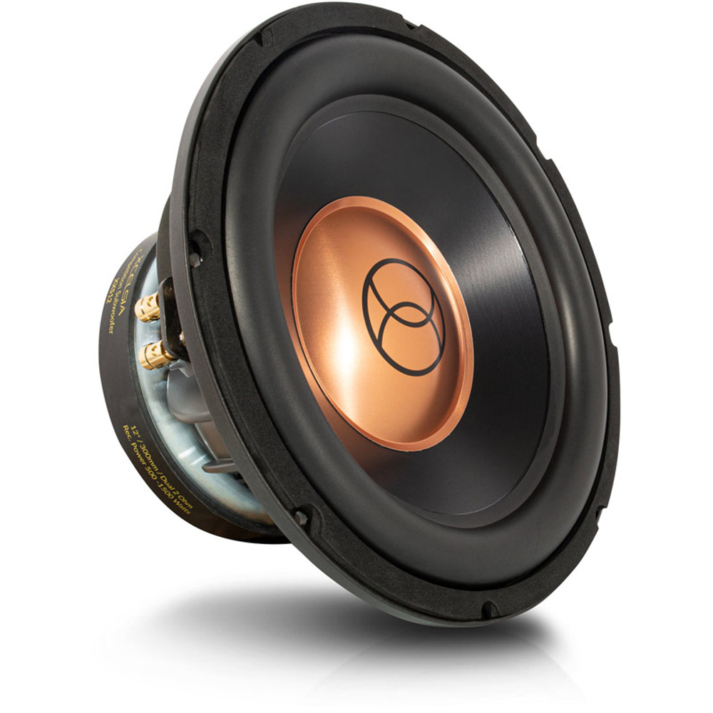 Сабвуфер Xcelsus XXS12 - BUZZ Audio
