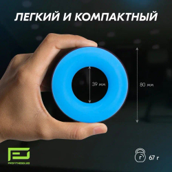 ЭСПАНДЕР КИСТЕВОЙ PROFITNESSLAB 10 КГ