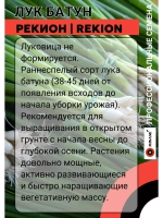 Лук Батун Рекион