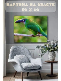 Картина на стену 40 X 50 Птица туканет