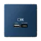 Розетка с USB A+C Systeme Electric ArtGallery Аквамарин GAL001129