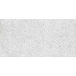 Staro Antislip OSLO SILVER 60x120