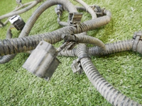 DSCN4007.jpg