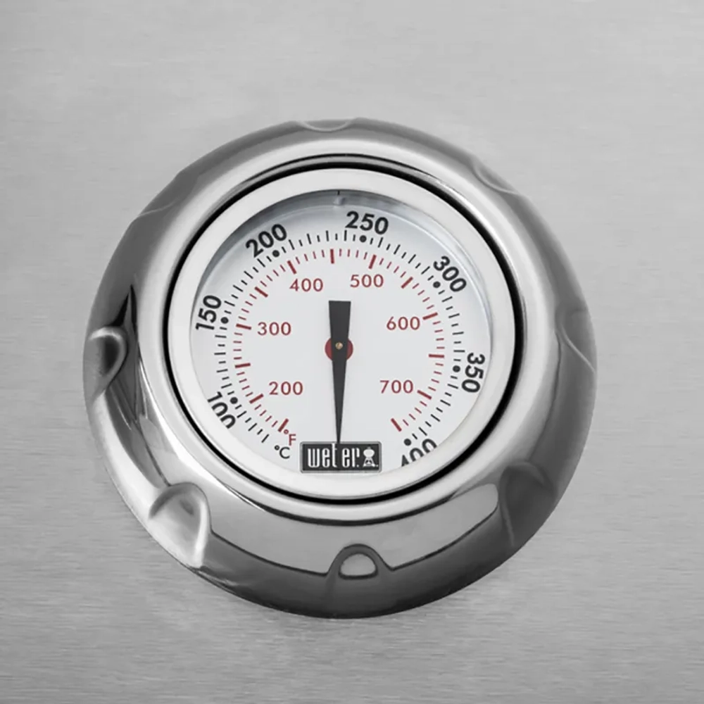 Газовый гриль Weber Summit S-670 GBS (стальной)