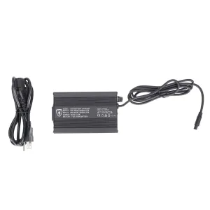 Зарядное устройство для моделей FT01/ FT02 Charge E 5A 48V (ПОД ЗАКАЗ)