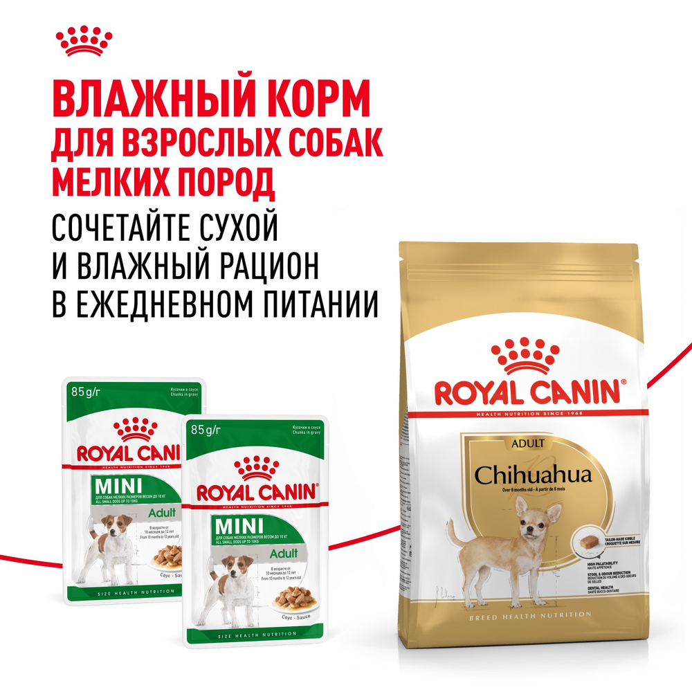 Royal Canin Chihuahua Adult Чихуахуа Эдалт Корм сухой для взрослых собак породы Чихуахуа от 8 месяцев 3кг