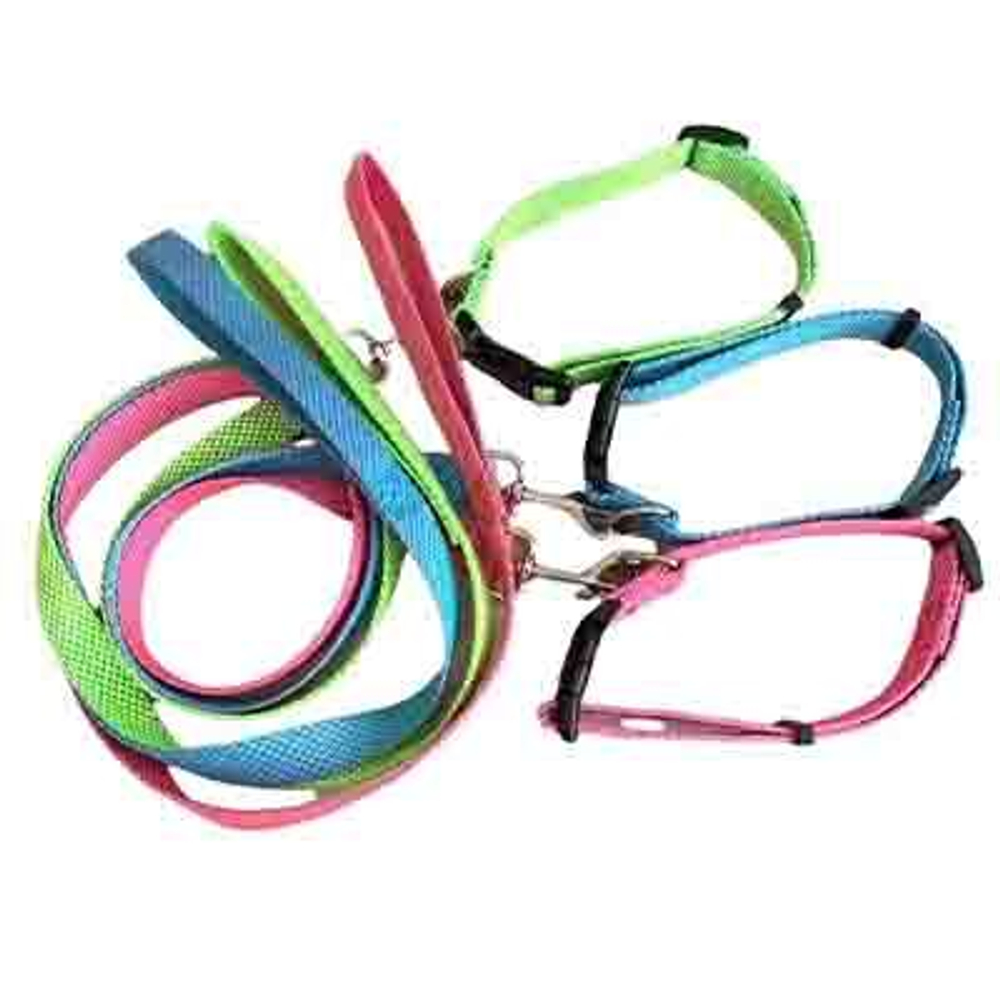 Pet Fashion Ошейник+поводок "Элегант", разноцвет, 2,5 см