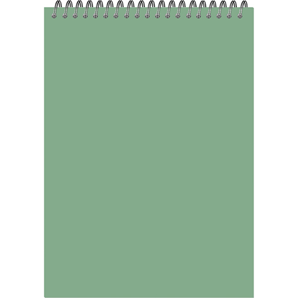Блокнот-скетчбук Fine Line classic format Format Pastel A4 20 листов на металлическом гребне