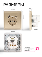 Розетка одинарная внутренняя Оптима с USB и type C