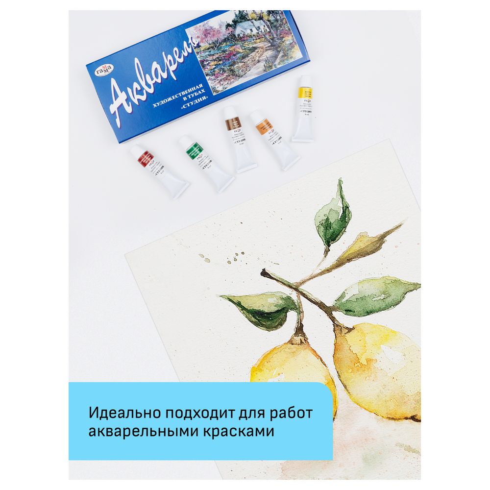 Папка для акварели А3, 50л, 200гр/м, Гамма Студия, среднее зерно