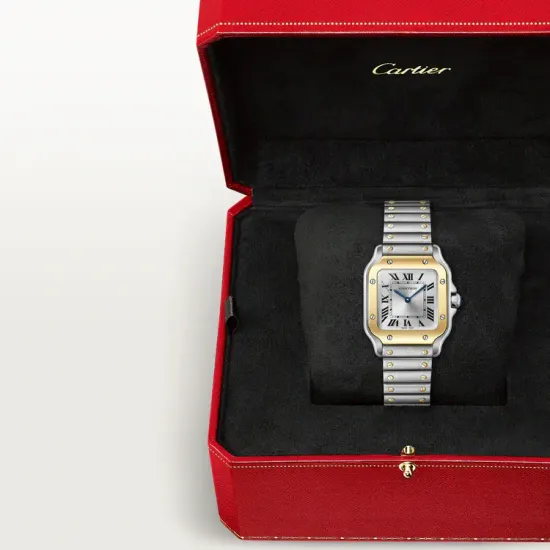 Часы Cartier Santos de Cartier в стальном корпусе с желтым золотом